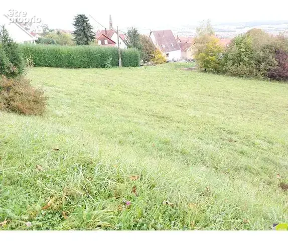 TERRAIN Situé à Husseren-les-Châteaux - photo 6