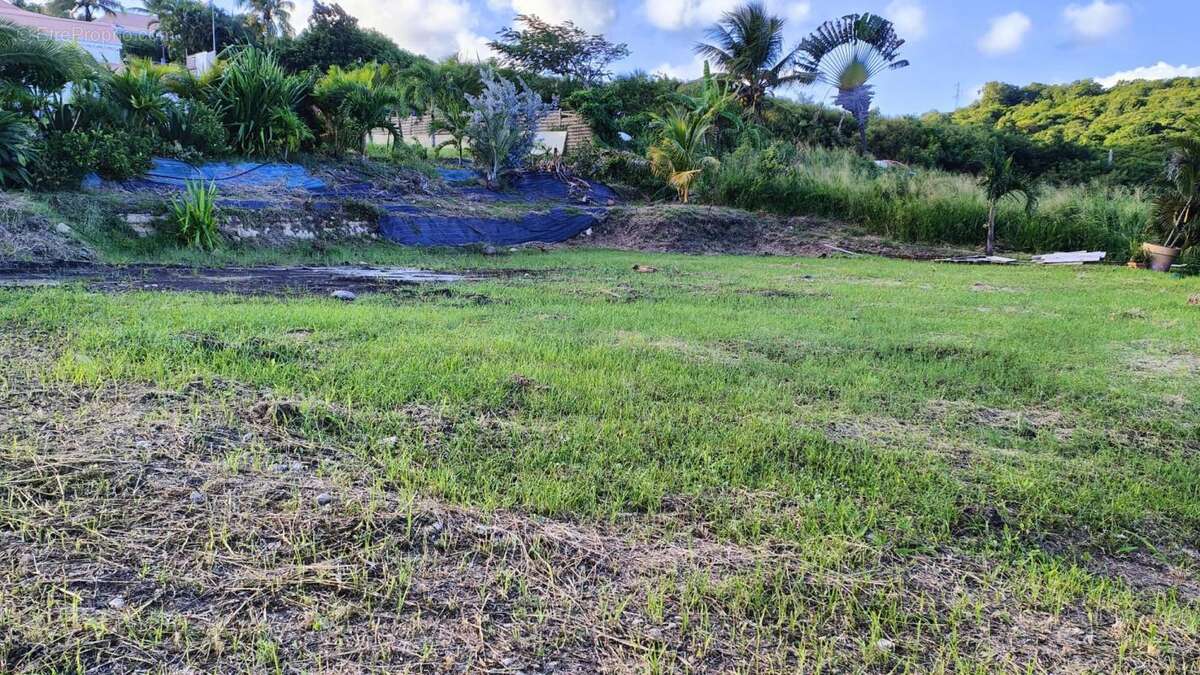 Terrain à LE VAUCLIN