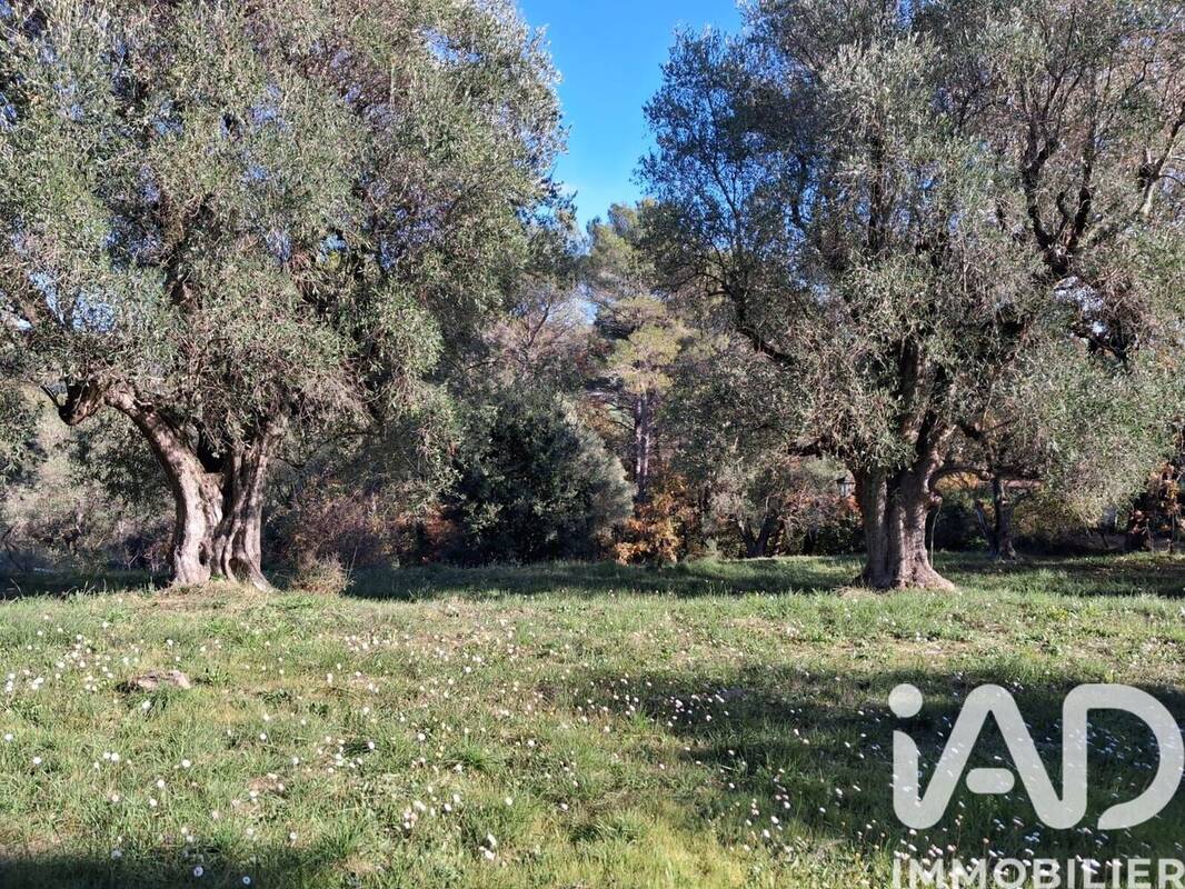 Photo 1 - Terrain à LA ROQUETTE-SUR-SIAGNE