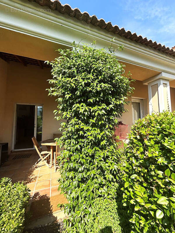 Maison à CALENZANA