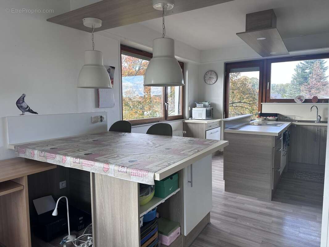 Cuisine - Appartement à SOUFFELWEYERSHEIM