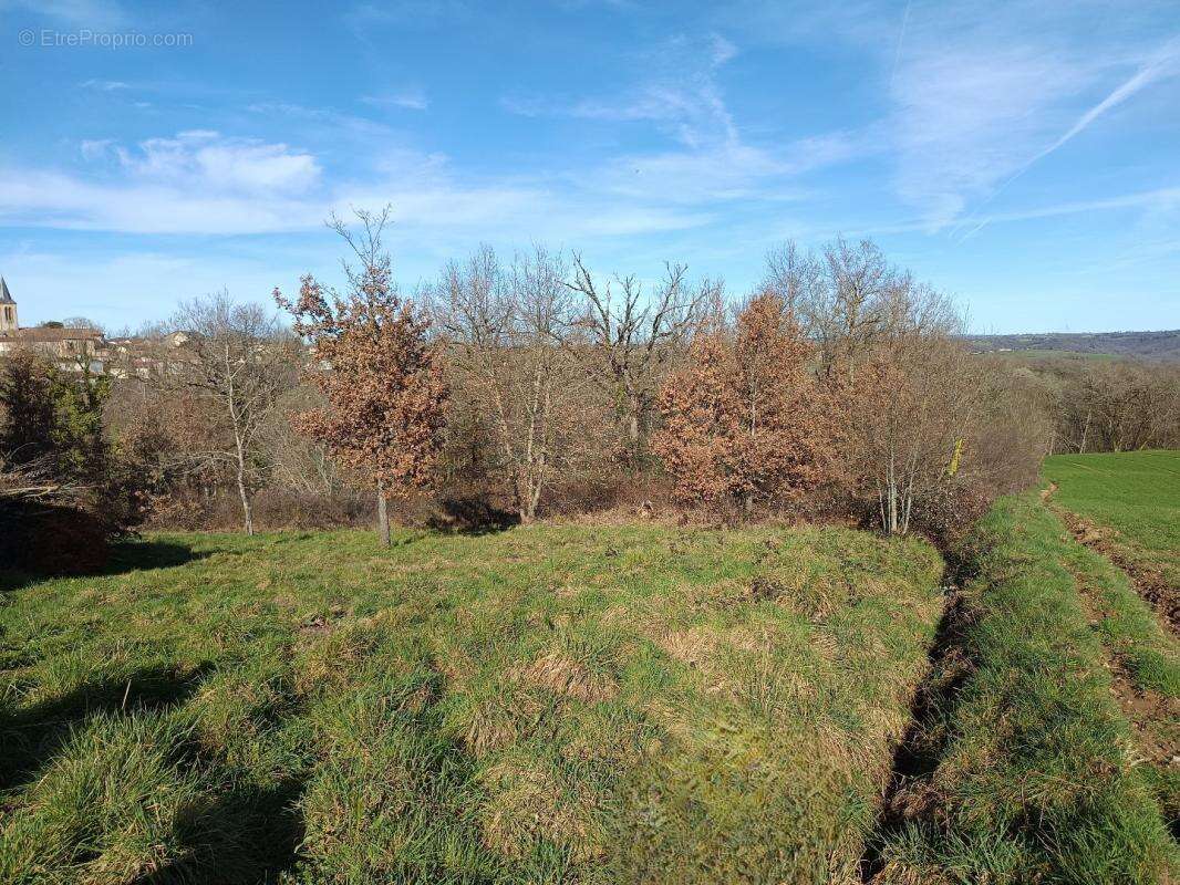 Terrain à MIRANDOL-BOURGNOUNAC
