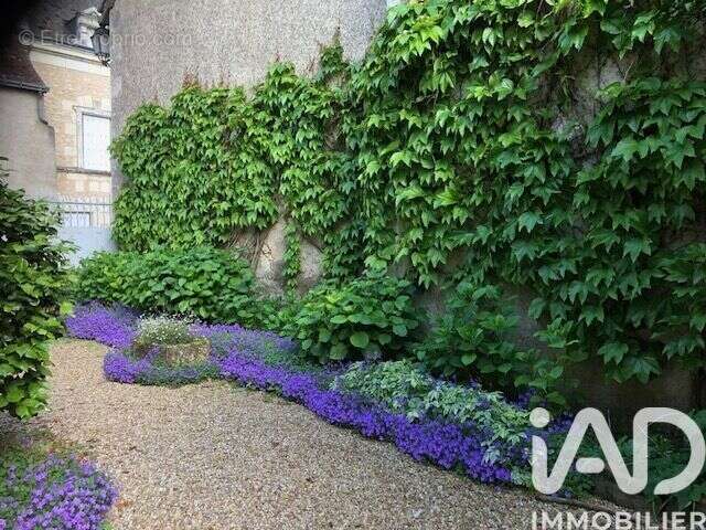 Photo 7 - Maison à LE GRAND-PRESSIGNY