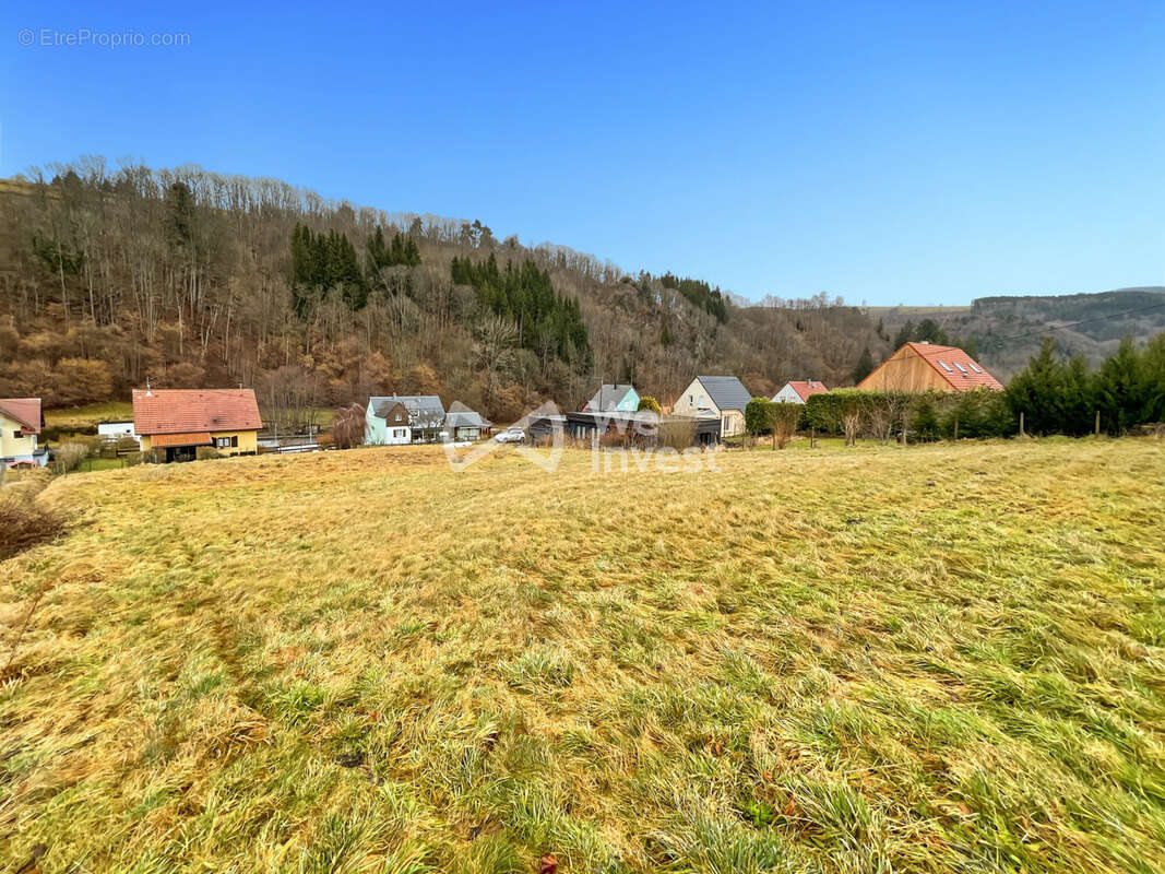 Terrain à LE BONHOMME