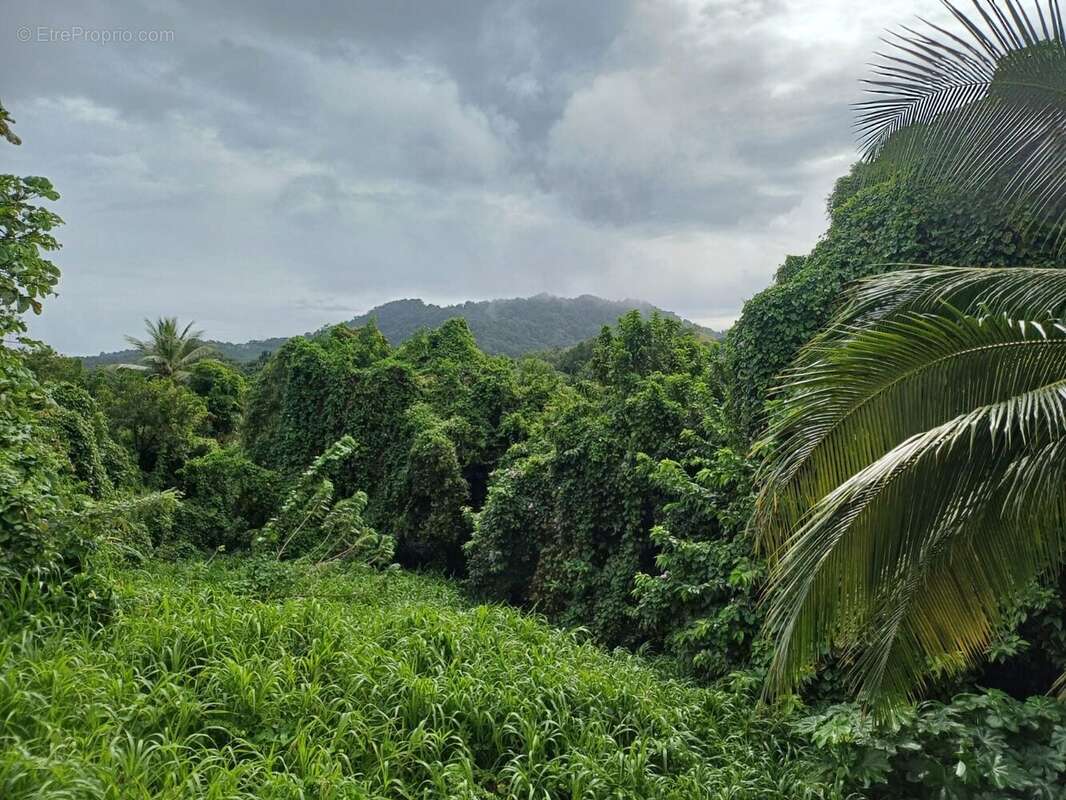Maison à LE FRANCOIS
