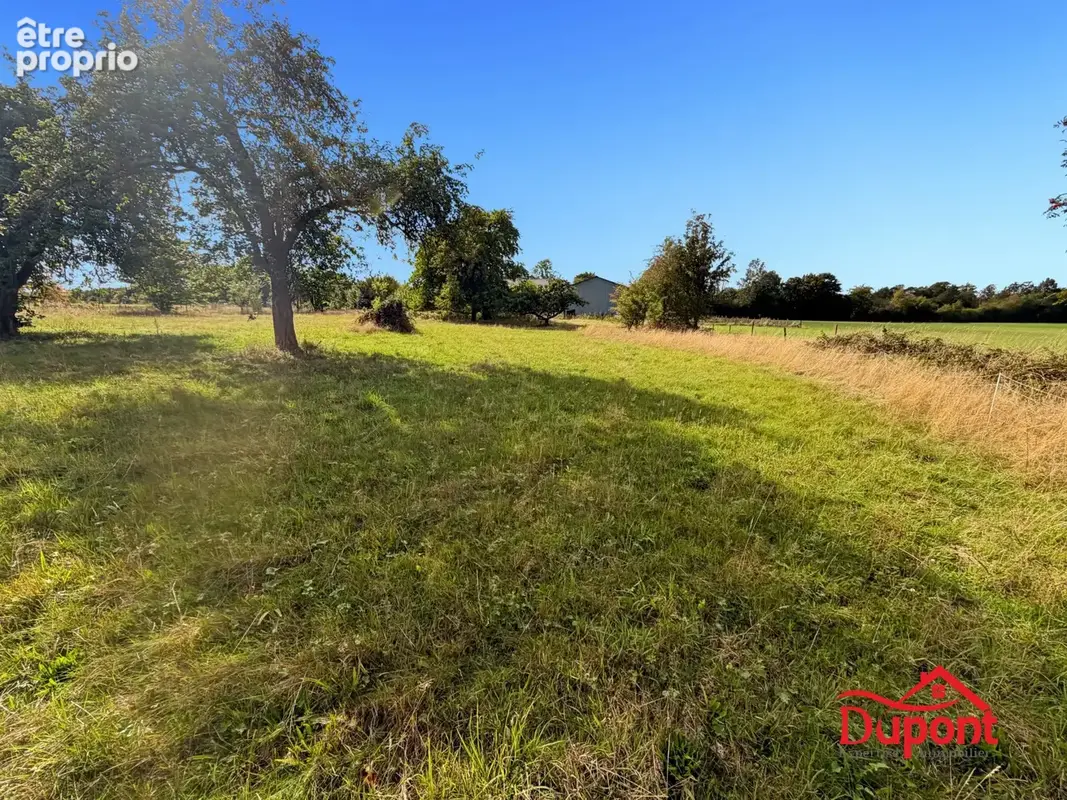 Terrain 3 339 m² à vendre à Taillette (08230) - photo 4
