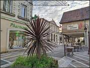 Maison à MIRAMONT-DE-GUYENNE