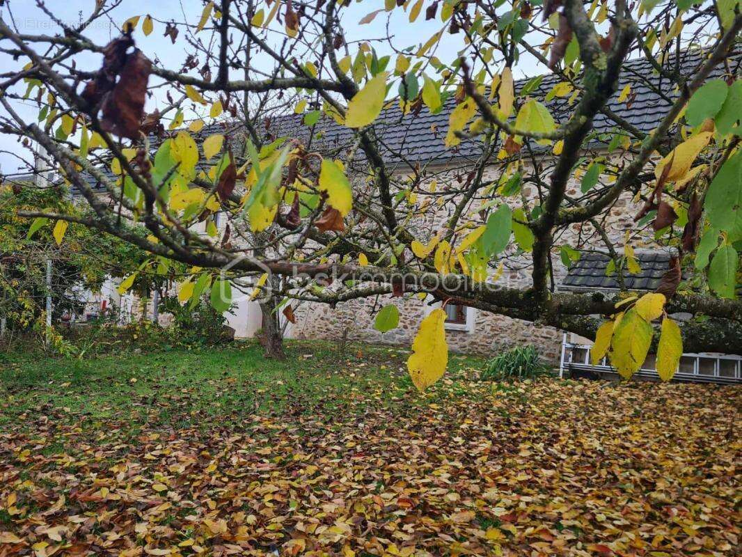 Maison à NEUILLY-SAINT-FRONT