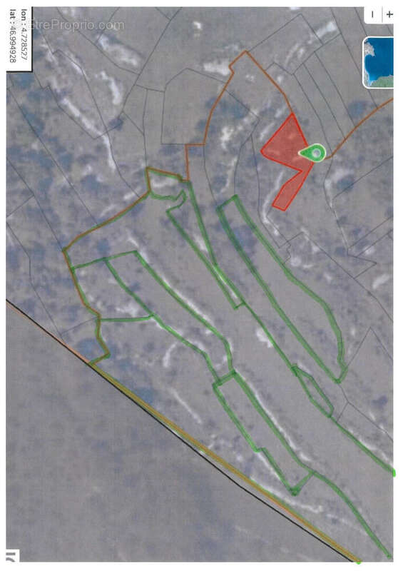 Terrain à SAINT-ROMAIN