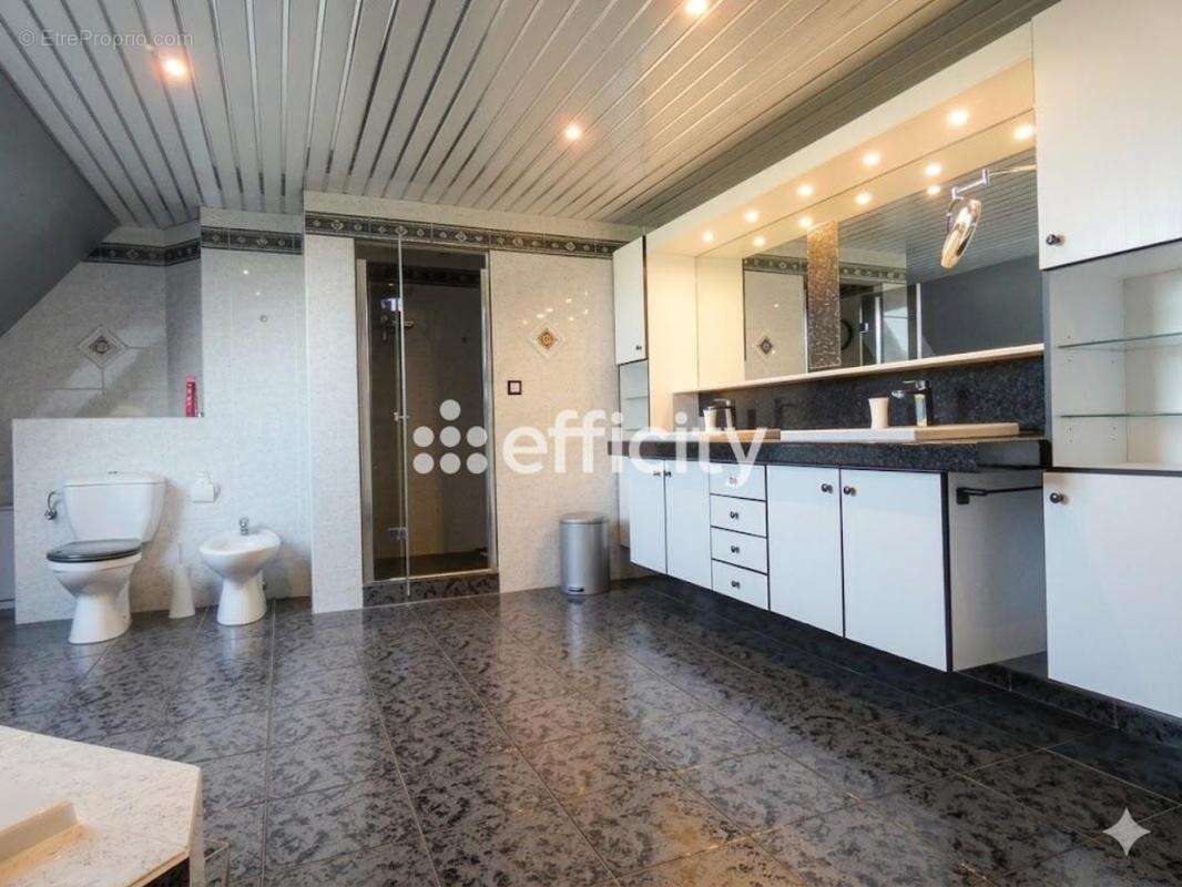 Maison 209 m² à Pulversheim  - photo 16