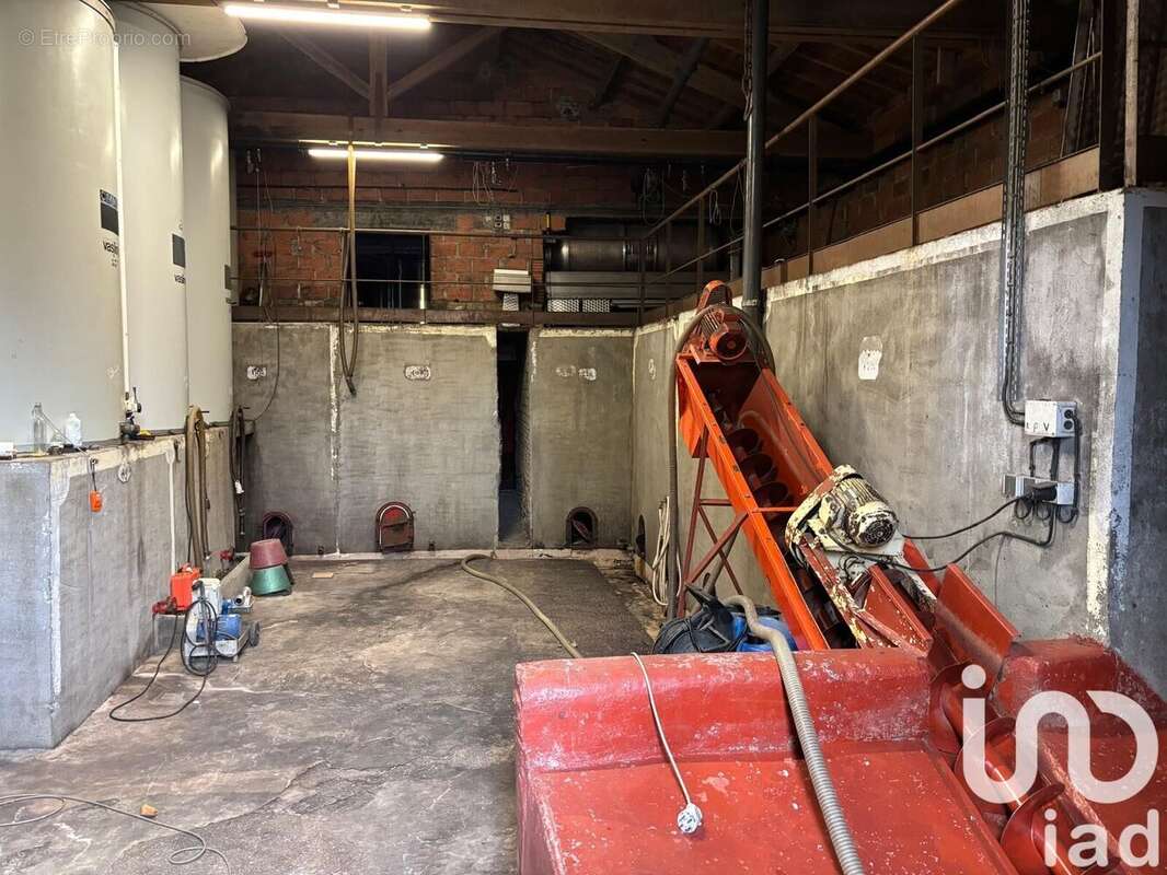 Photo 9 - Maison à LISLE-SUR-TARN