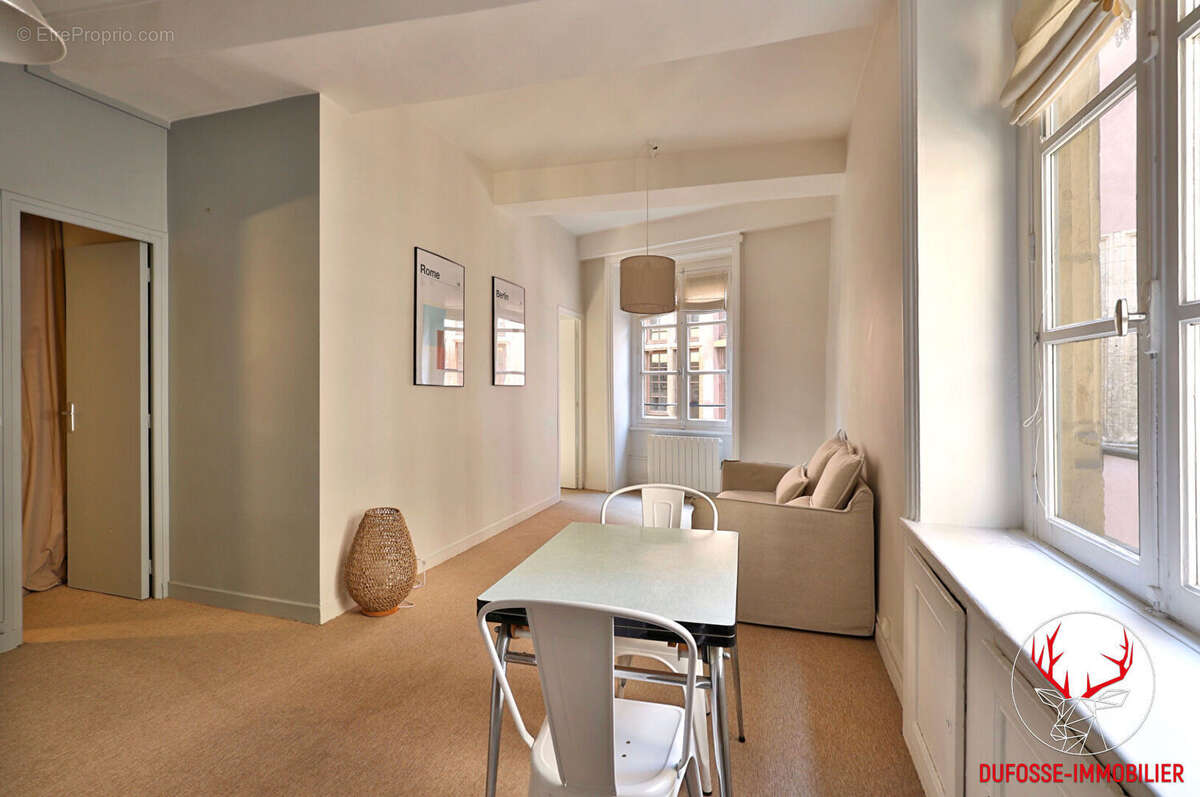 Appartement T2, 41m2, vue Saône - photo 3