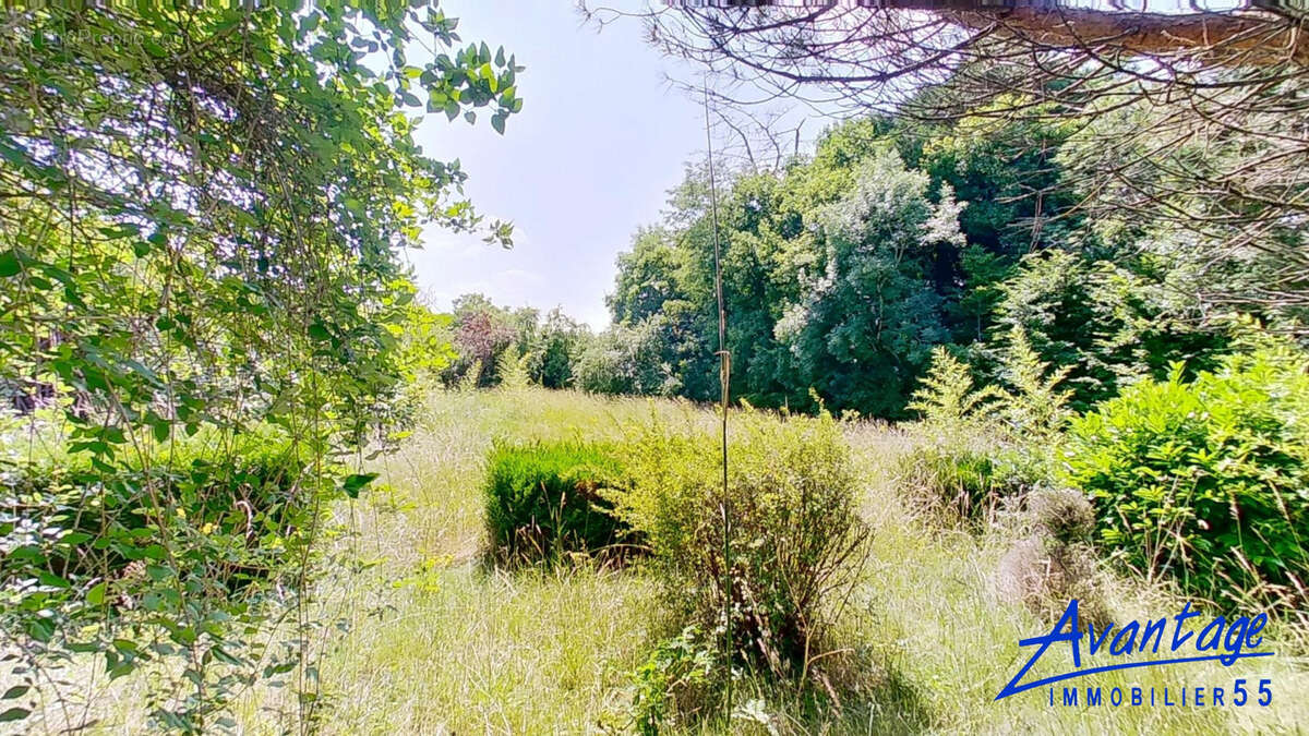 Terrain à BAR-LE-DUC