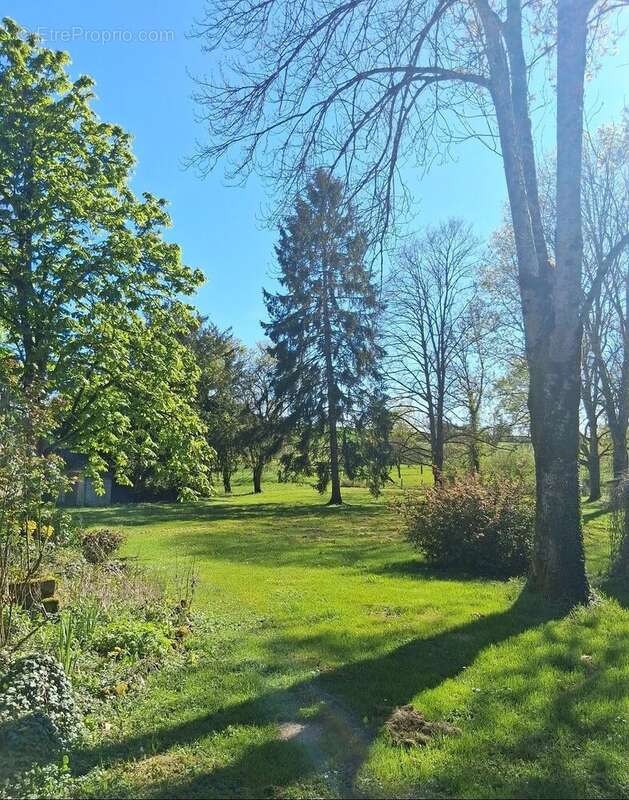 Maison à COURSAN-EN-OTHE