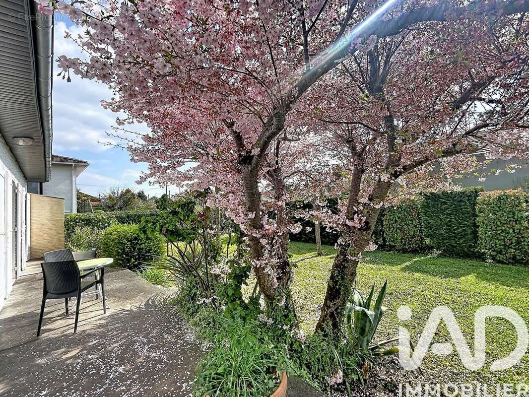 Photo 2 - Maison à COUTRAS