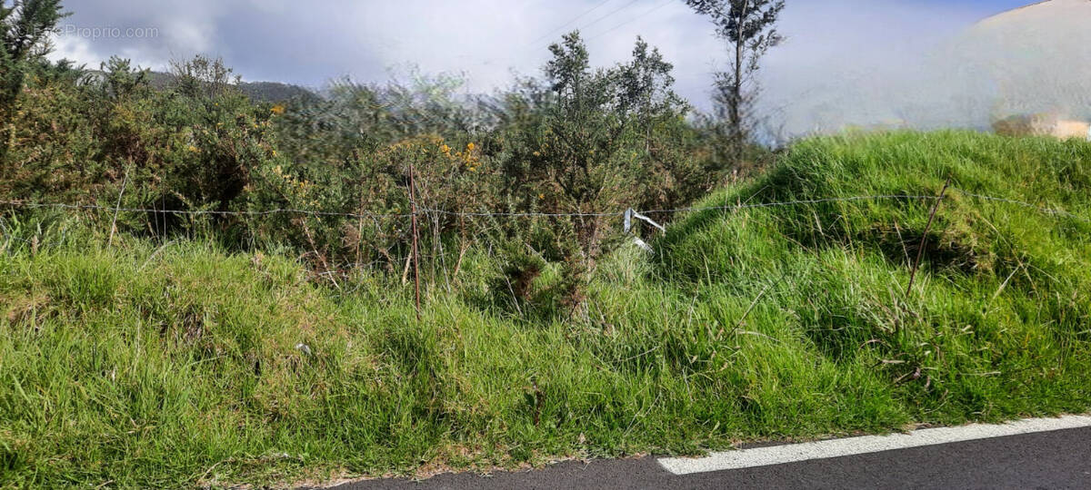 Terrain à LE TAMPON