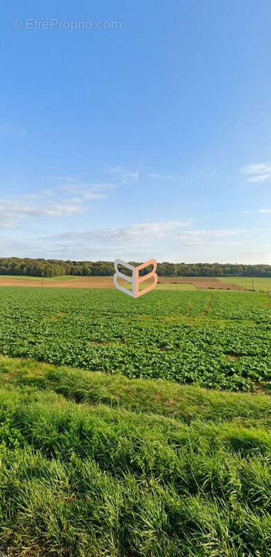 Terrain 1122 m² à Doncourt-Les-Longuyon  - photo 3
