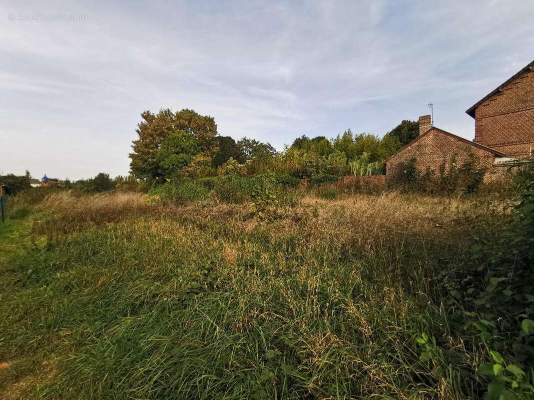 Terrain à MARQUION