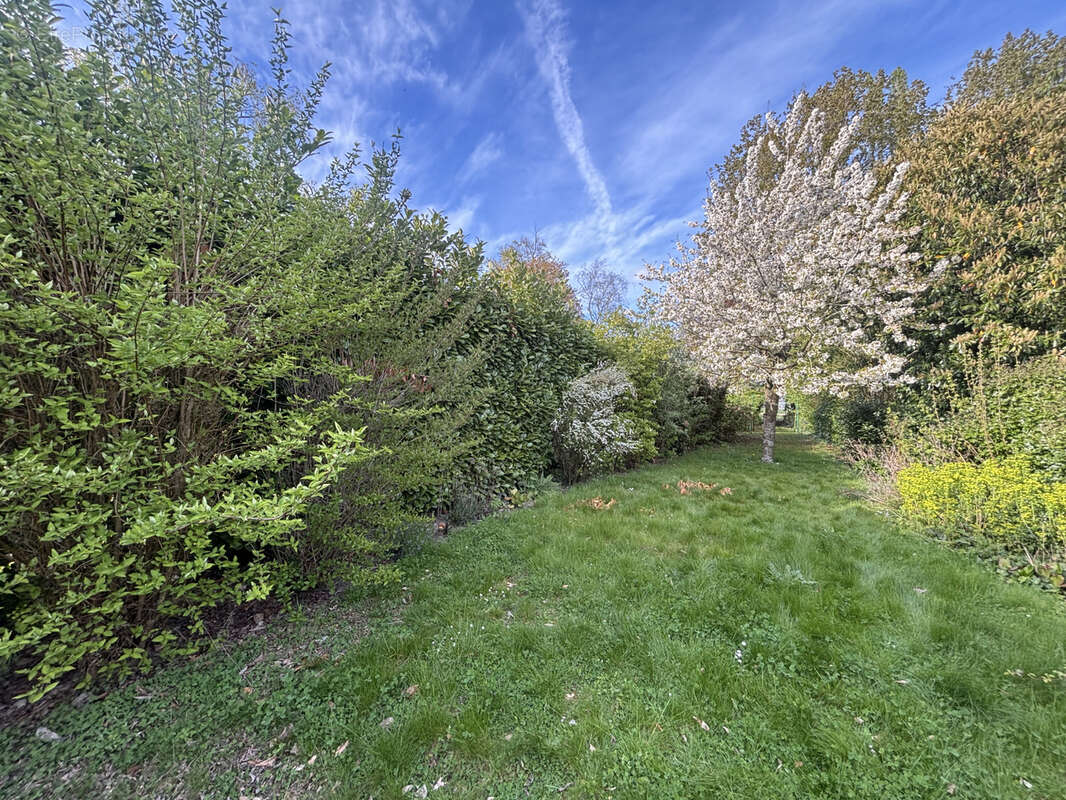 Flamande individuelle landas - photo 10