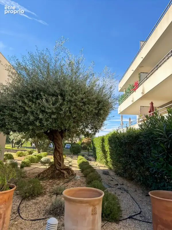Le Crès   Appartement 2 pièces avec terrasse, garage et piscine - photo 10
