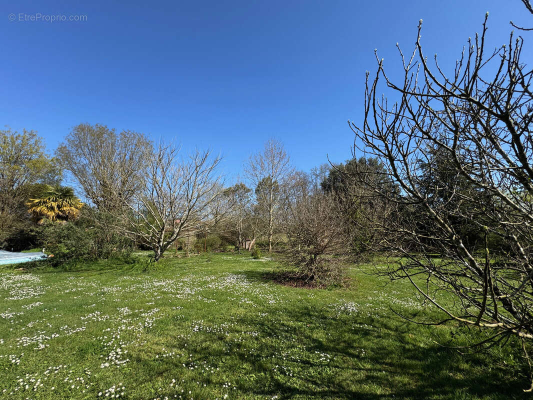 Maison à SAINT-ANDRE-DE-LIDON