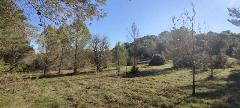 Terrain à CARCASSONNE