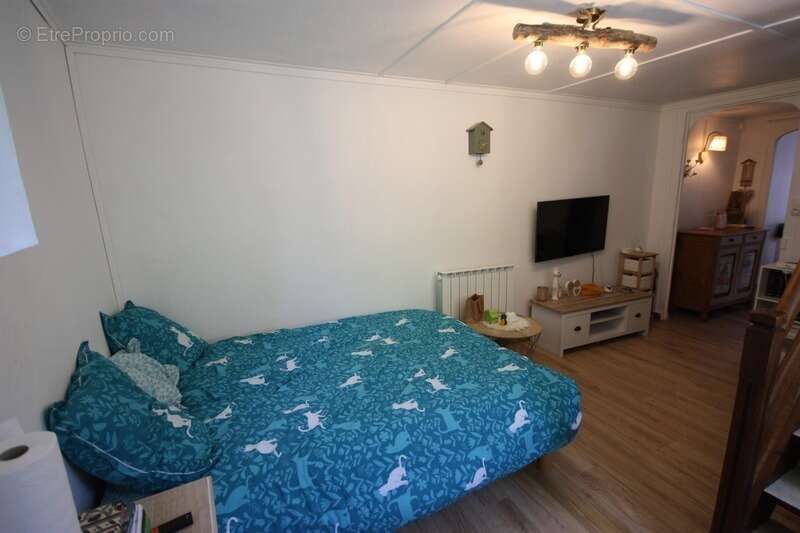 Dpt Ain (01), à vendre CHALEY maison P3 de 52 m² avec terrain non attenant de 351 m² - photo 13