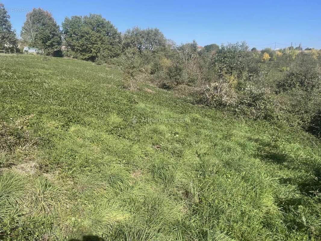 Terrain à BELLEGARDE