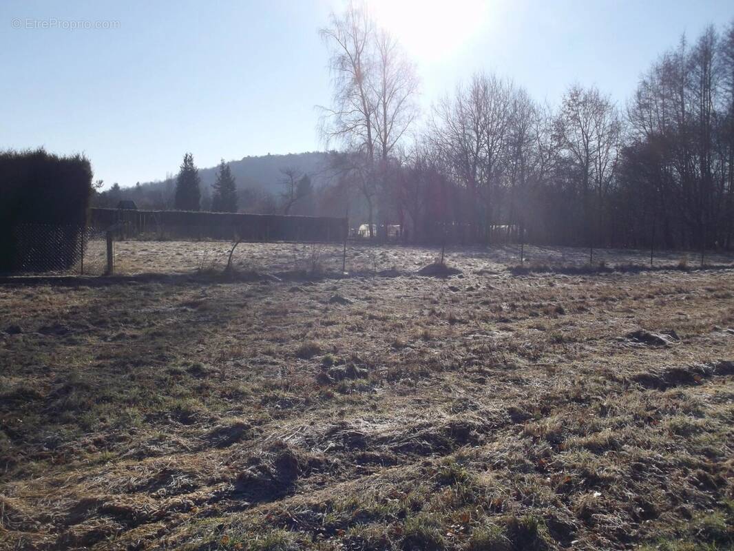 Terrain à BRUYERES-ET-MONTBERAULT