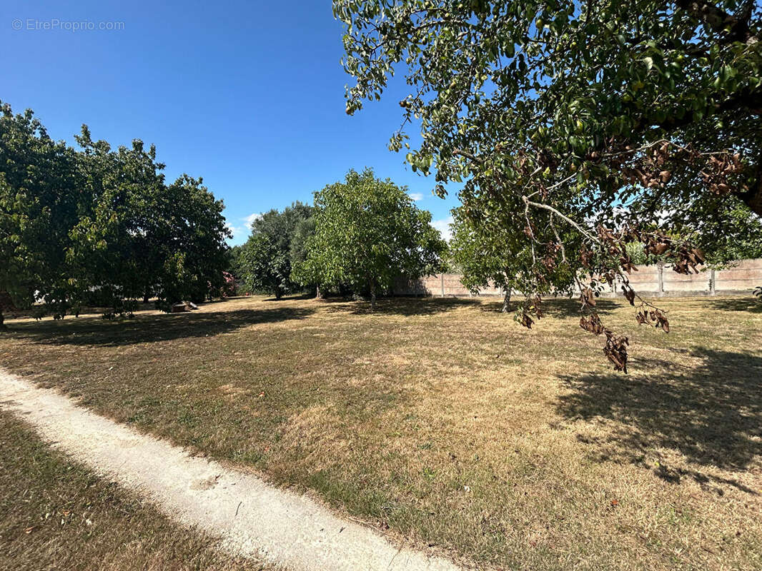 Terrain à SAINT-AGNANT