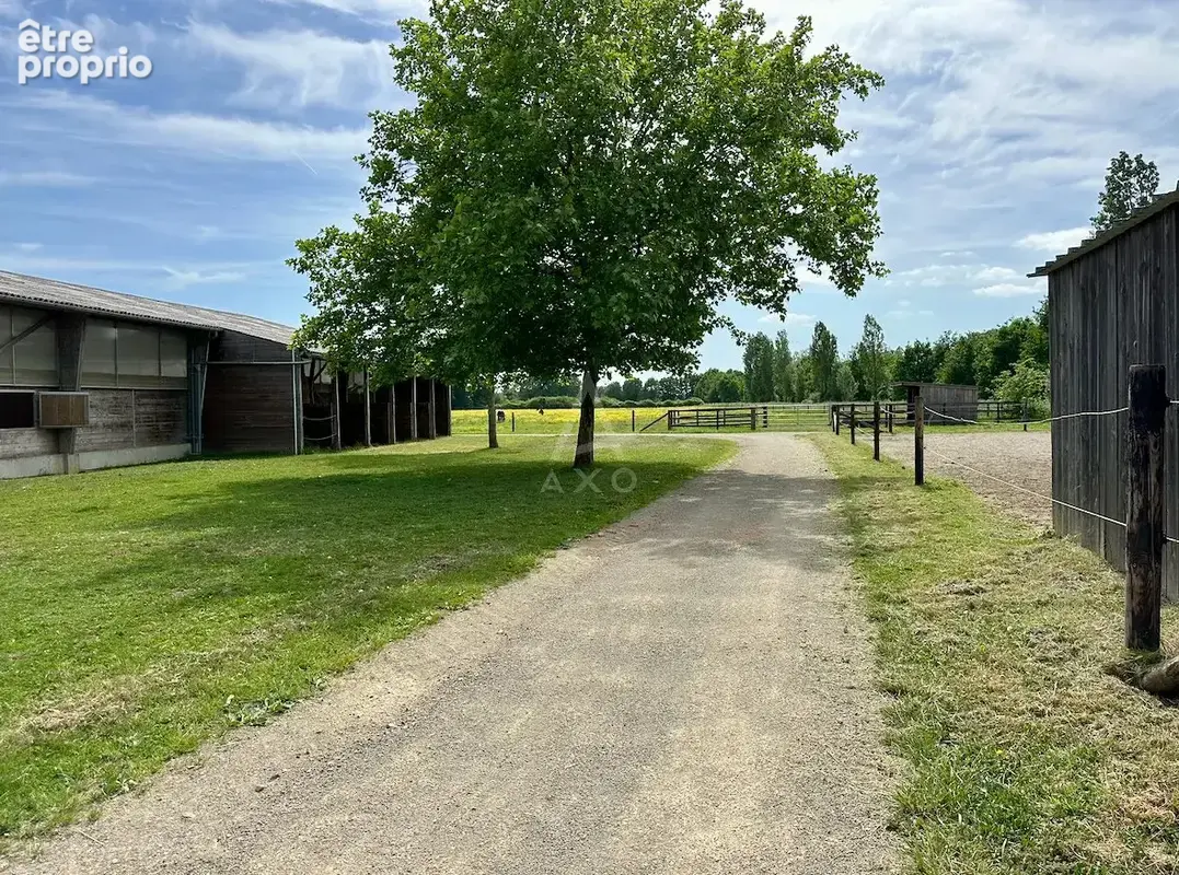 Haras d'Entraînement de Courses sur 28 Hectares   Cadre Exceptionnel - photo 26