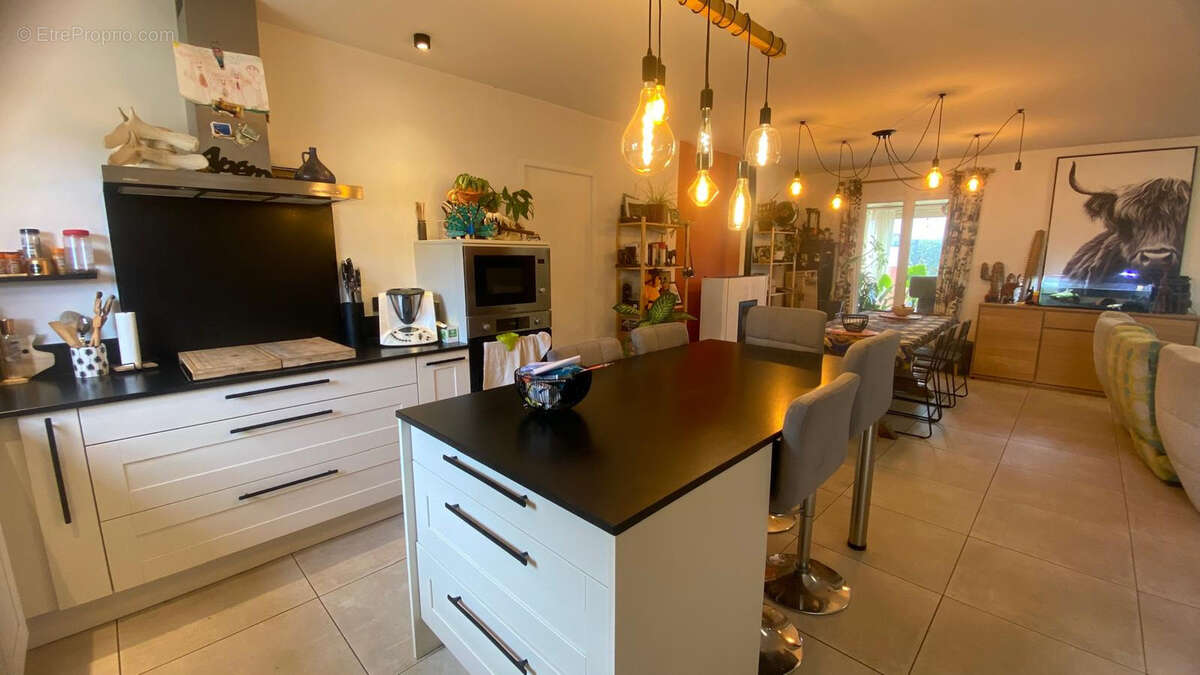 Maison à ARGENS-MINERVOIS