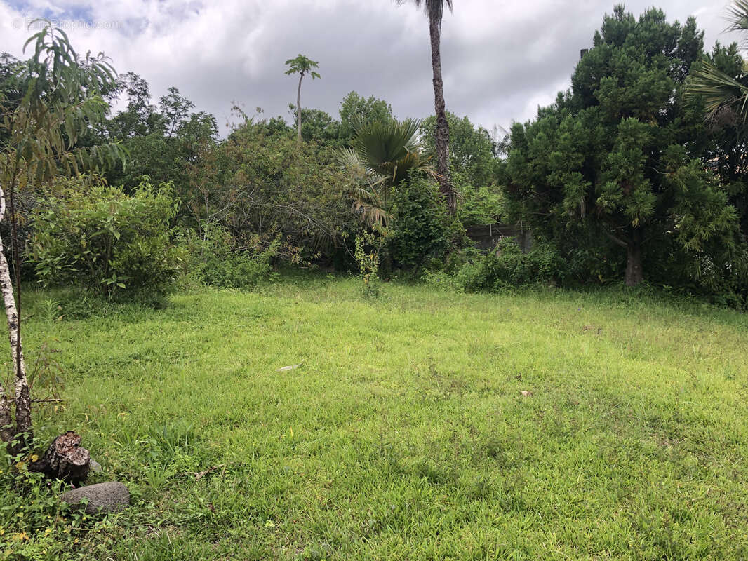 Terrain à LE TAMPON