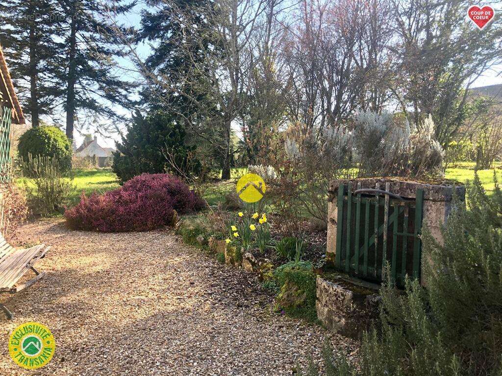Maison à SAVIGNY-EN-SANCERRE