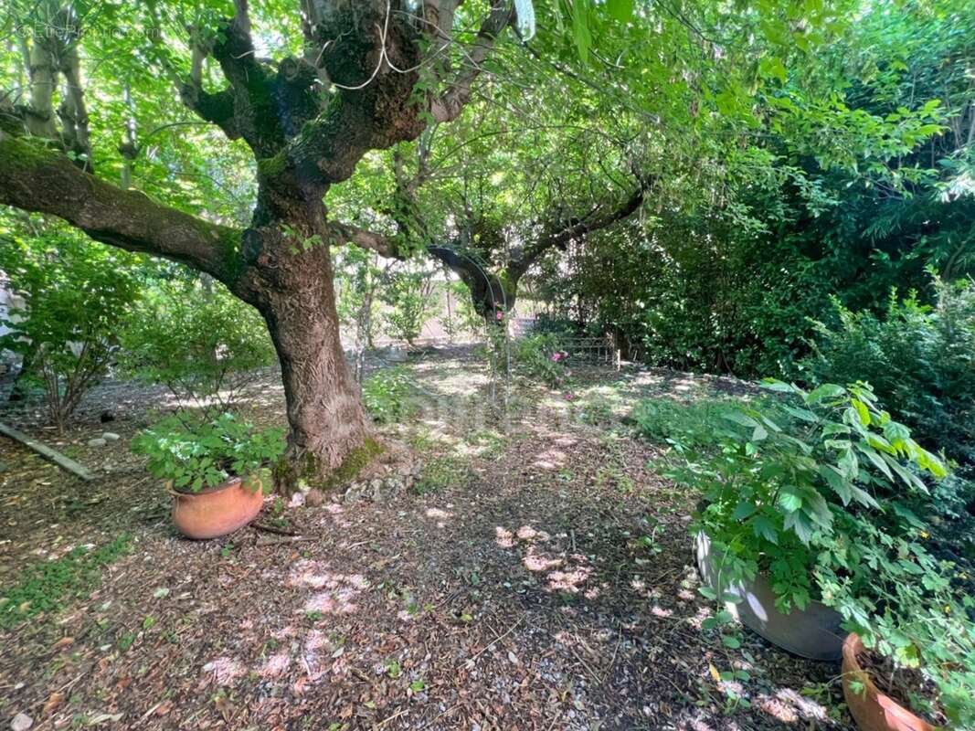 Maison à vendre à Digne-les-Bains – 115 m², 4 chambres, jardin arboré de 300 m², fort potentiel - photo 3