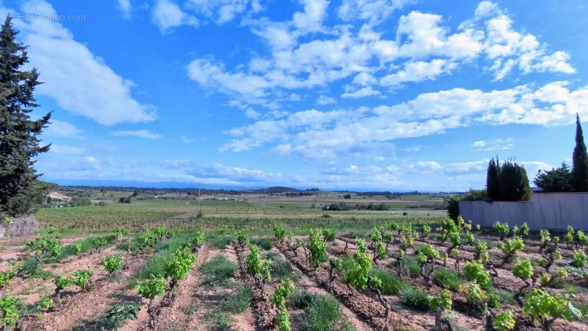 Maison à MONTBRUN-DES-CORBIERES
