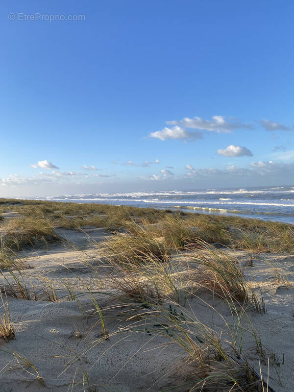 Maison à LEGE-CAP-FERRET