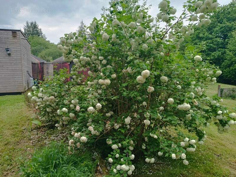  Écolieu en centre bourg - 2,4 ha - Scaër - photo 8