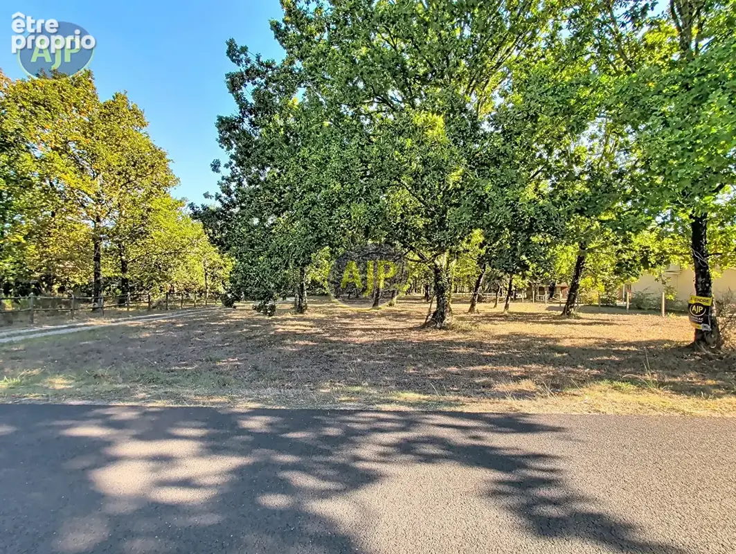 Terrain de 6155 m² dont 1600 m² de constructible - photo 3