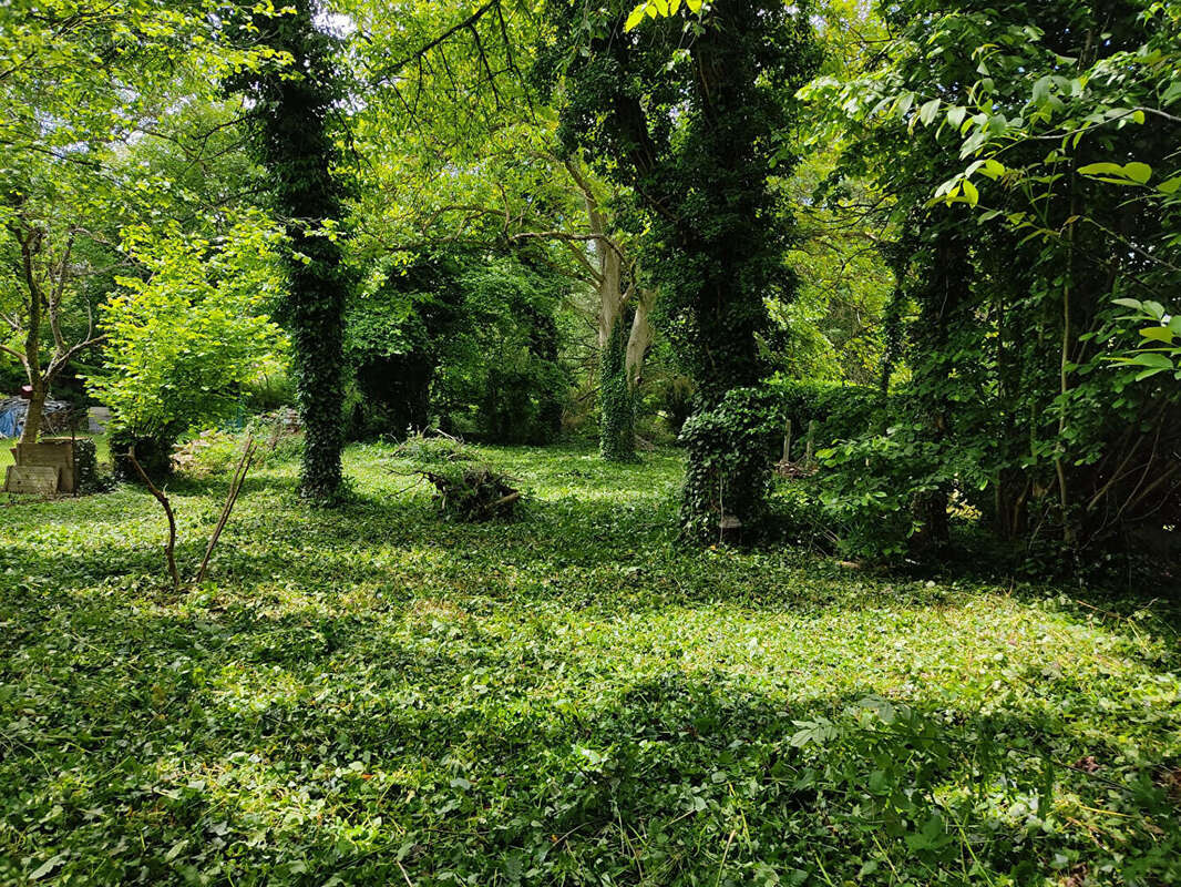 Terrain à DANNEMOIS