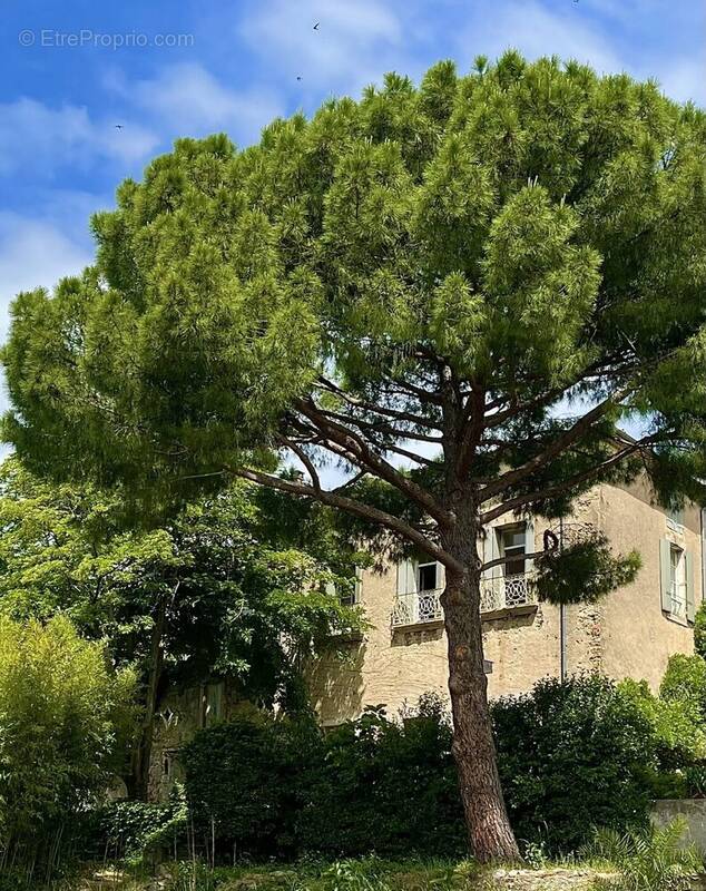 Maison à NEFFIES