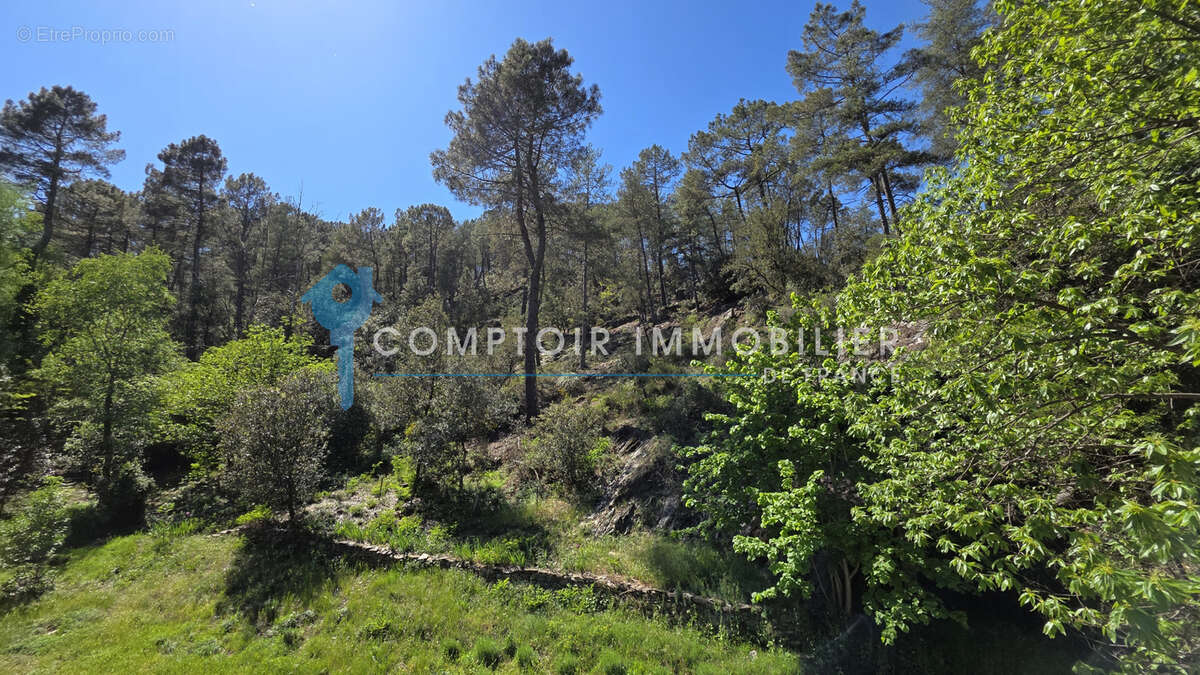 Dépt. 30 -   Mas en pierres de 220 m2 à CHAMBORIGAUD - Parcelles de 1,10 ha - photo 41