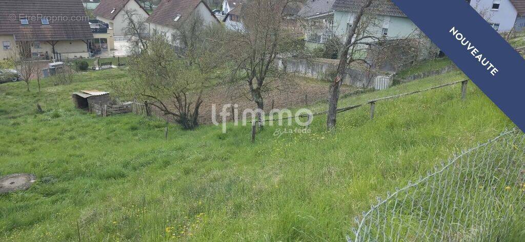 Terrain à WITTERSDORF