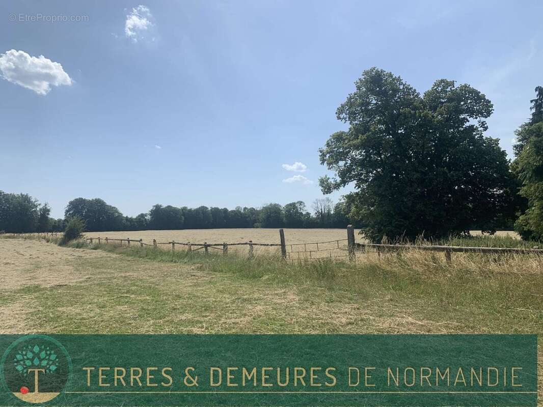 Dans le CALVADOS, région FALAISE, propriété agricole de 34 ha en herbage d'un seul tenant - photo 15