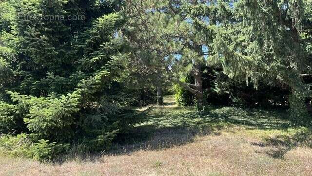 Terrain a 553 m² a anneyron - photo 4