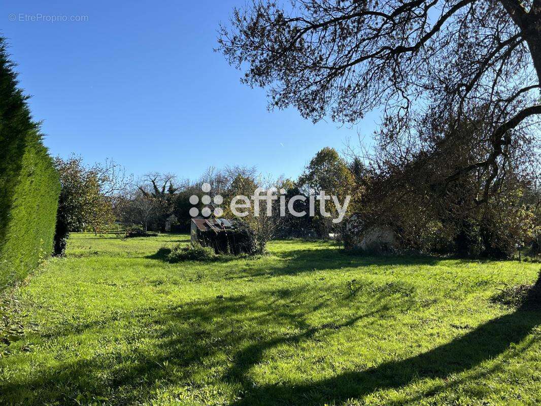Terrain à COGNAC