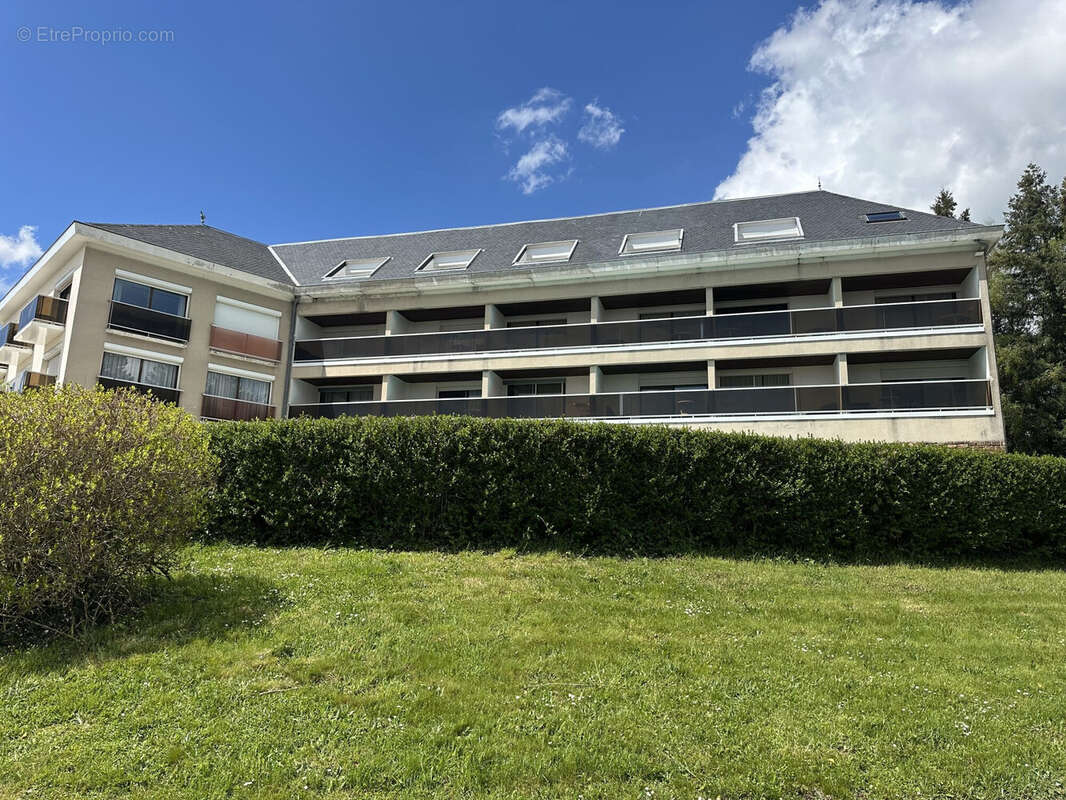 Commerce 26000 m² à Baraqueville  - photo 3