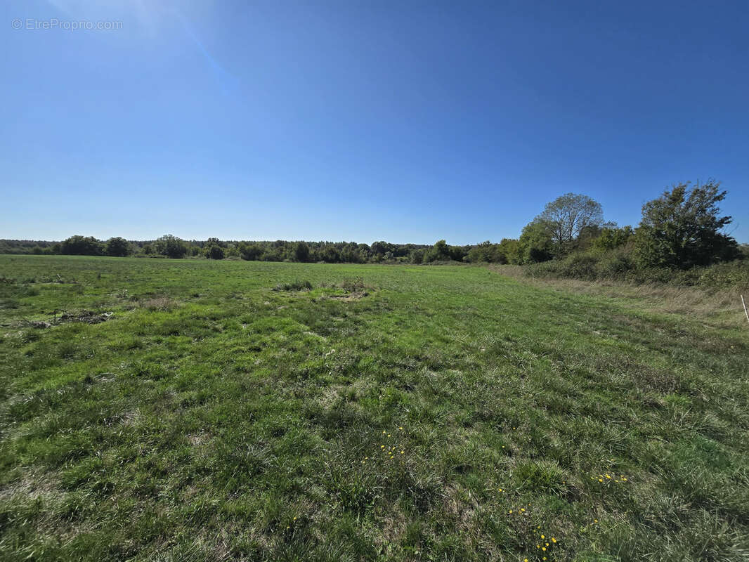 Propriété agricole avec maisons, dépendances, prairies et terres agricoles   Cher (18), proche Champagne berrichonne - photo 9