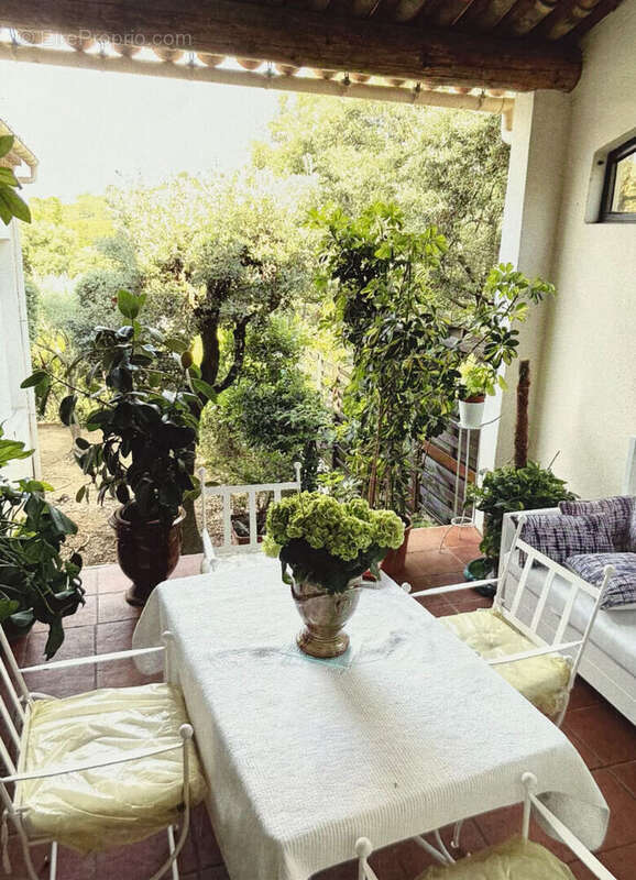 Viager occupé , Belle maison provençale avec piscine  Villeneuve-lès-Avignon - photo 3