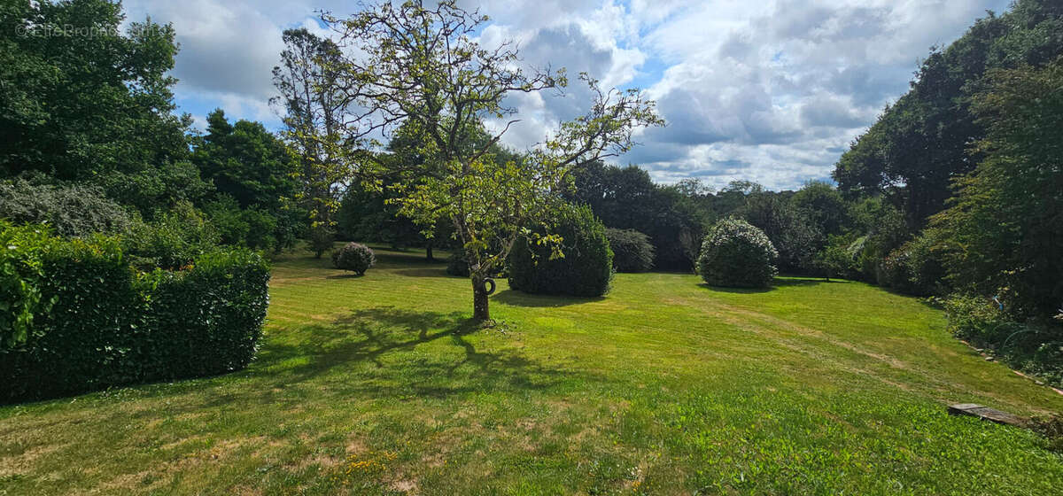 la champêtre . - photo 12